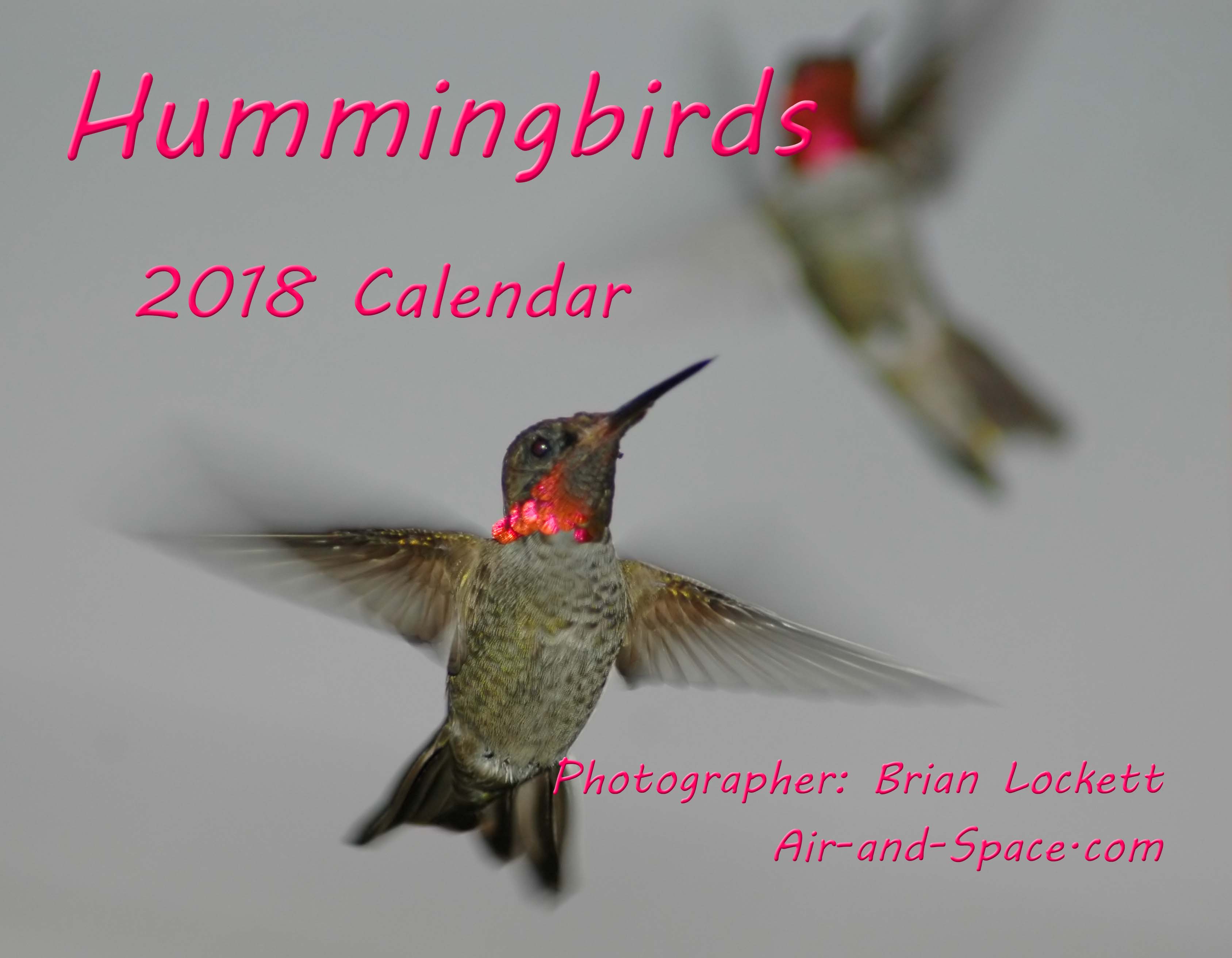 Lockett Books Calendar Catalog: Hummingbirds